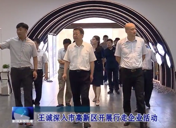 品格科技媒体报道视频：王诚市长视察